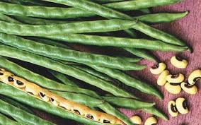 FAGIOLO DOLICO OCCHIO GR.200